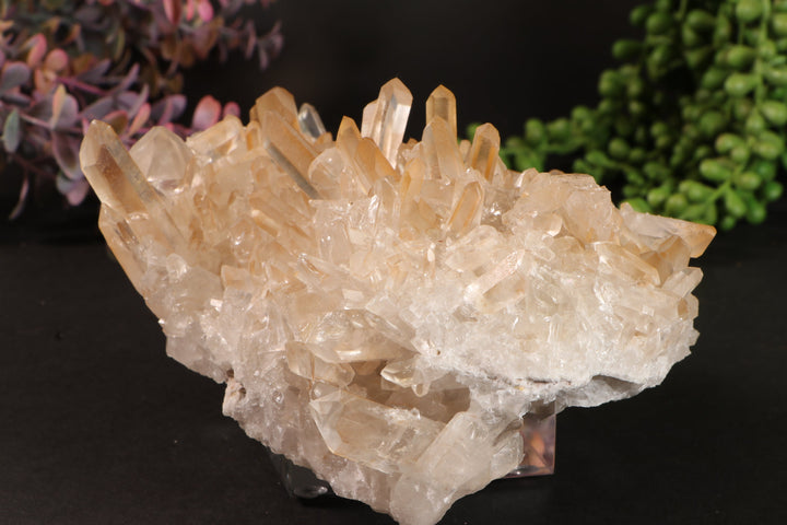 Golden Healer Quartz Cluster TU3335