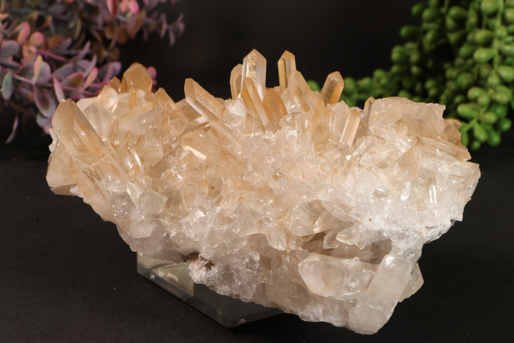 Golden Healer Quartz Cluster TU3335