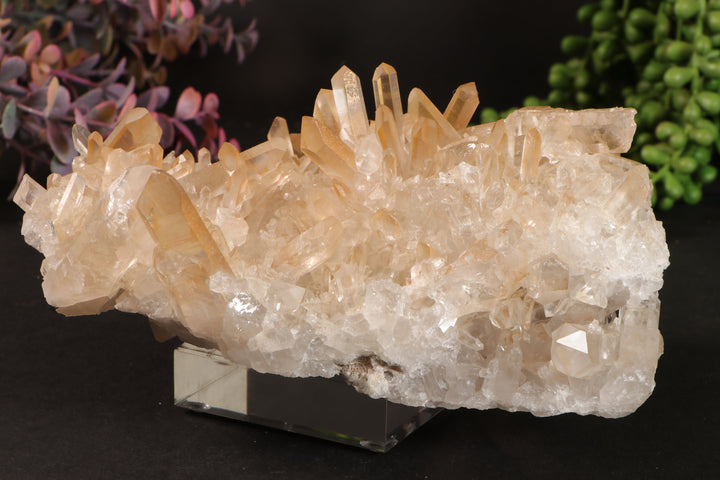 Golden Healer Quartz Cluster TU3335
