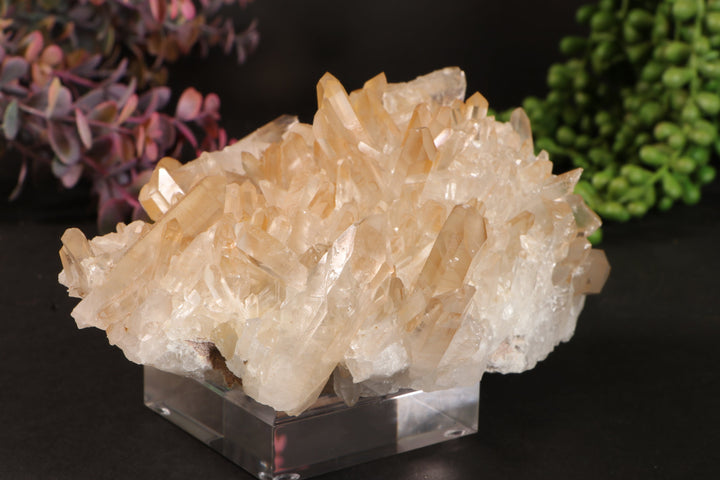 Golden Healer Quartz Cluster TU3335