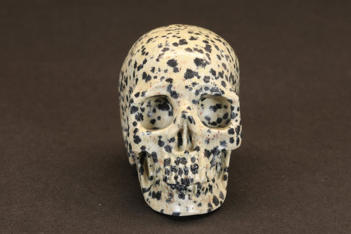 Dalmatian Jasper Skull TU355