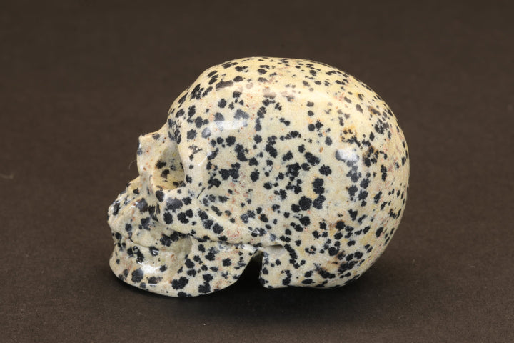 Dalmatian Jasper Skull TU355