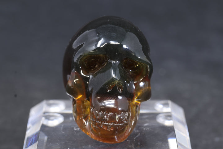 1.5" Dominican Amber Skull TU3673