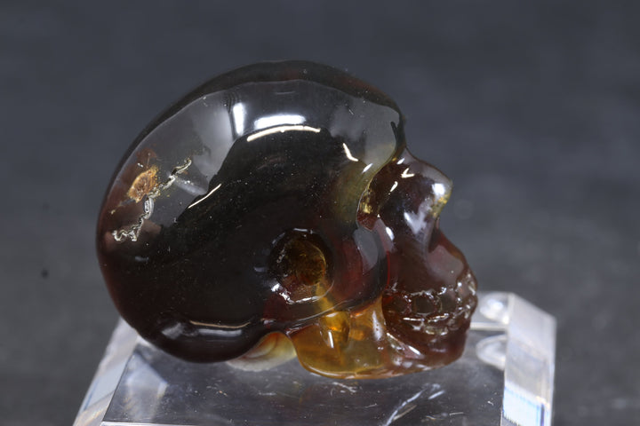 1.5" Dominican Amber Skull TU3673