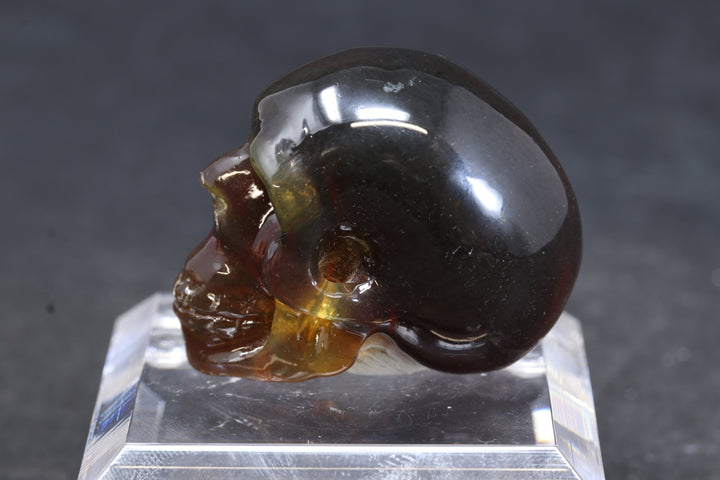 1.5" Dominican Amber Skull TU3673