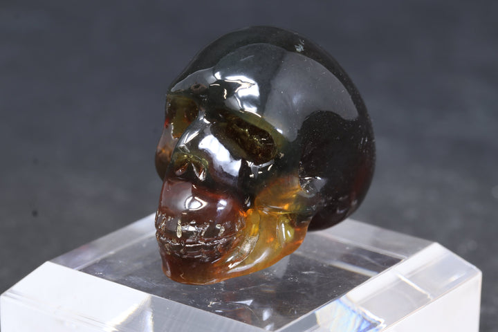 1.5" Dominican Amber Skull TU3673