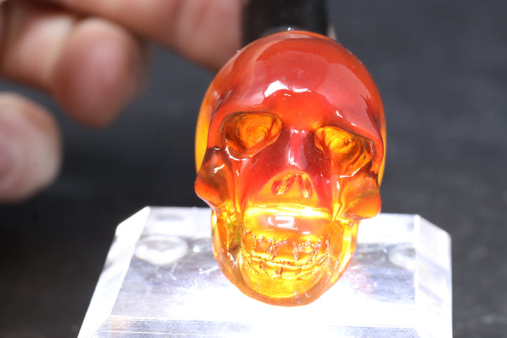 1.5" Dominican Amber Skull TU3673