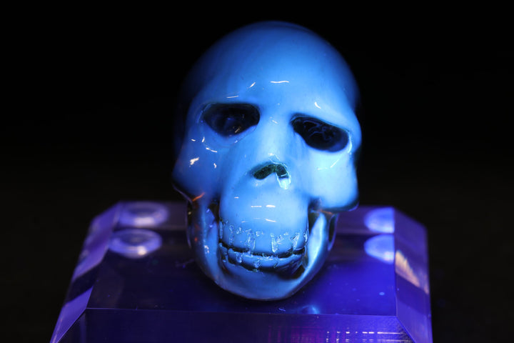 1.5" Dominican Amber Skull TU3673