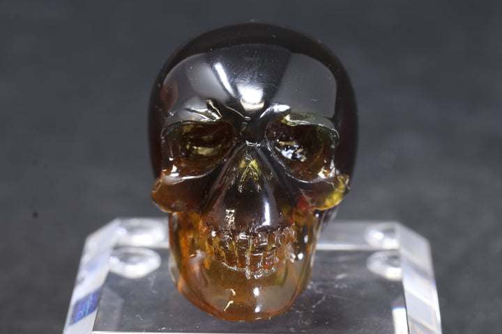 1.5" Dominican Amber Skull TU3674
