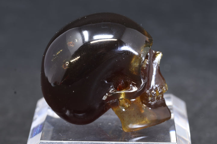 1.5" Dominican Amber Skull TU3674