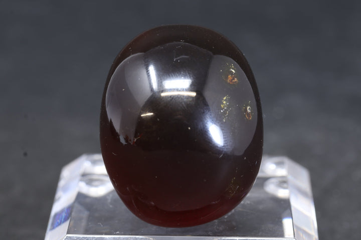 1.5" Dominican Amber Skull TU3674