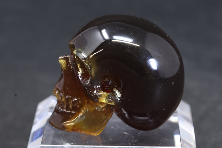 1.5" Dominican Amber Skull TU3674