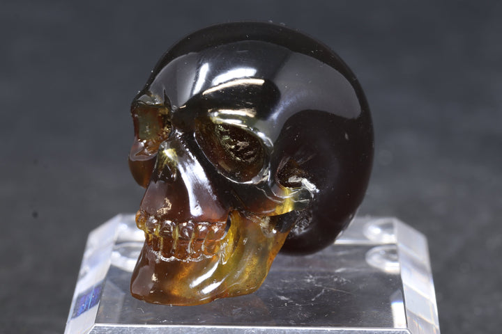 1.5" Dominican Amber Skull TU3674