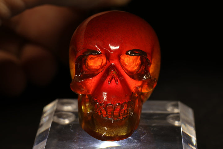 1.5" Dominican Amber Skull TU3674