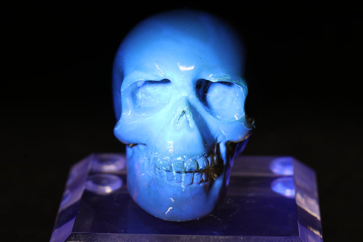 1.5" Dominican Amber Skull TU3674