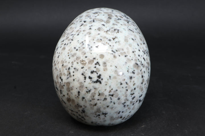 Lotus Jasper Skull TU3785