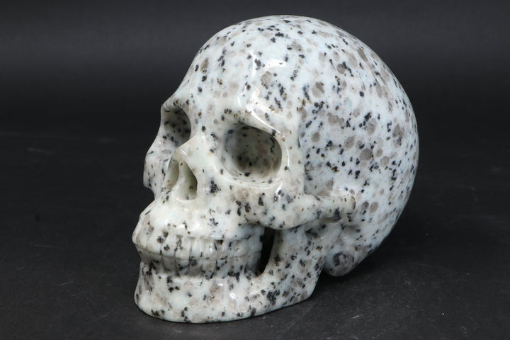 Lotus Jasper Skull TU3785