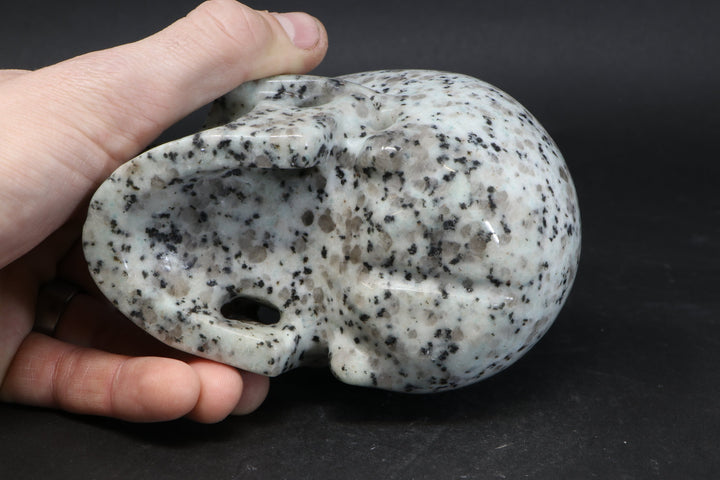 Lotus Jasper Skull TU3785