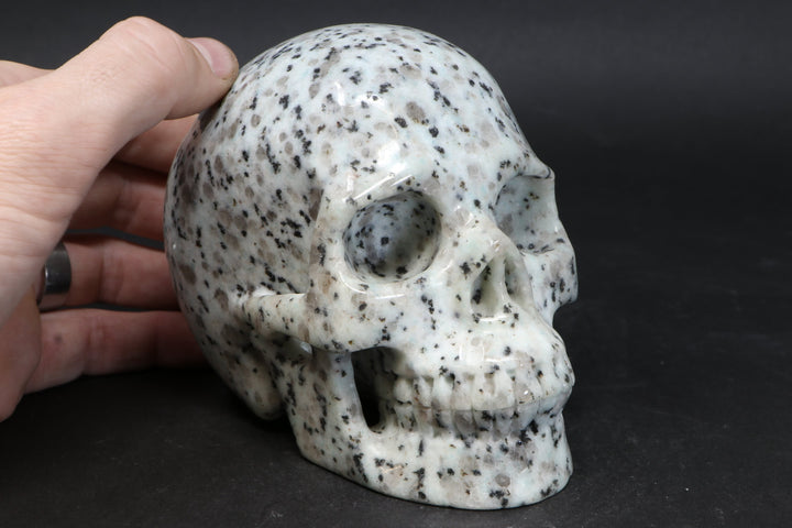 Lotus Jasper Skull TU3785
