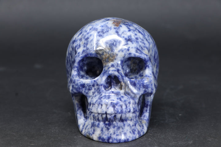 3.5" Sodalite Skull Carving TU3786