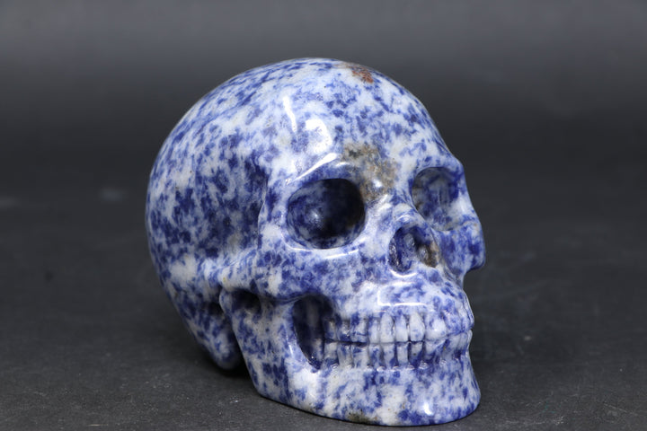3.5" Sodalite Skull Carving TU3786