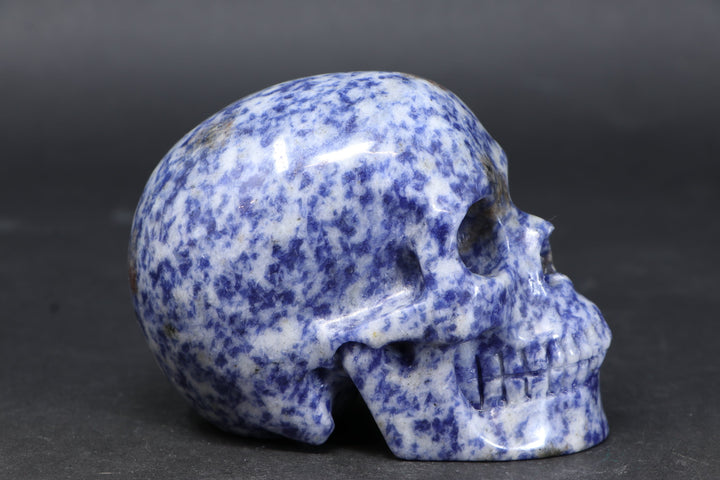 3.5" Sodalite Skull Carving TU3786