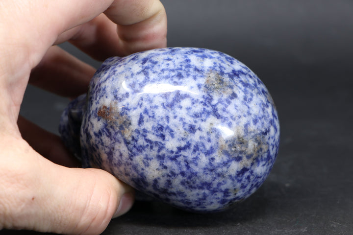 3.5" Sodalite Skull Carving TU3786