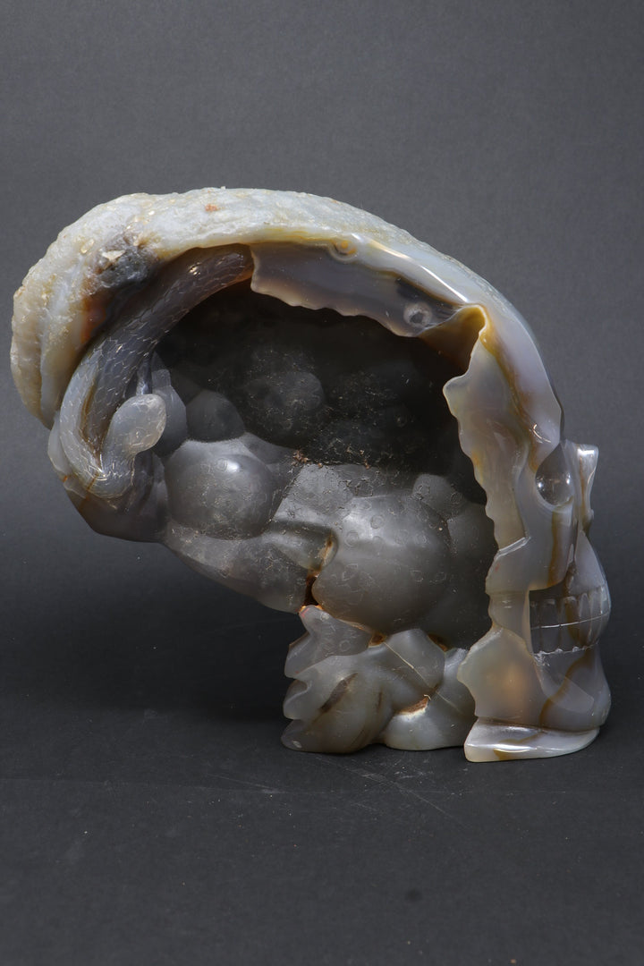 Agate Skull with Snake TU3790