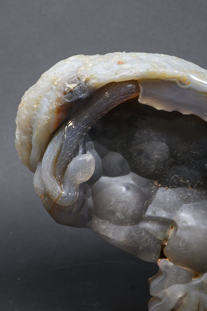 Agate Skull with Snake TU3790
