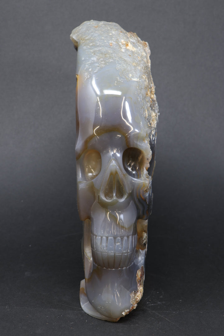 Agate Skull with Snake TU3790
