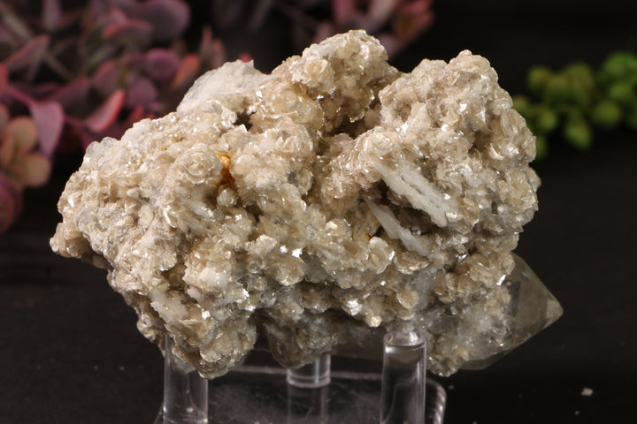 Quartz with Aquamarine and Mica TU3803
