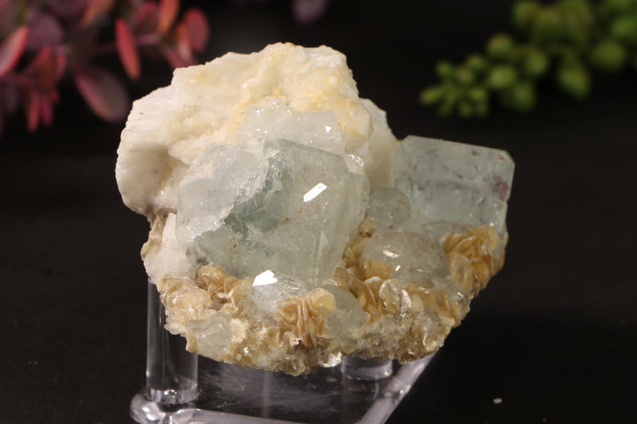 Aquamarine with Mica TU3809