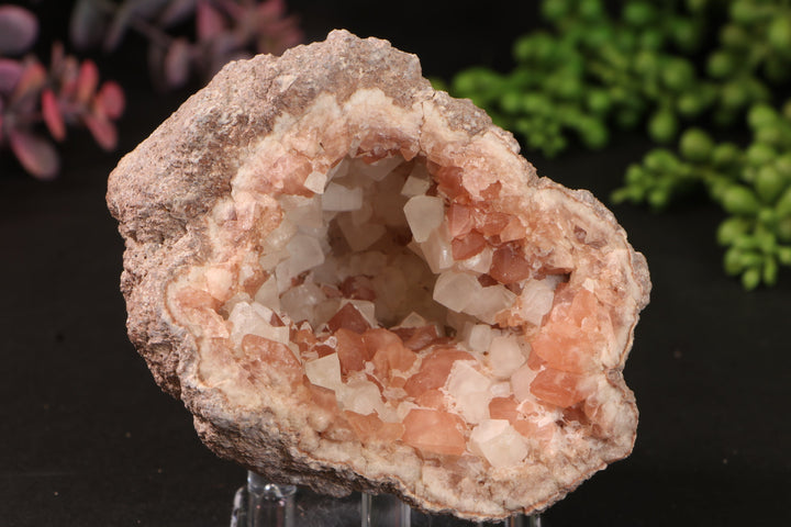 Pink Amethyst Geode TU474