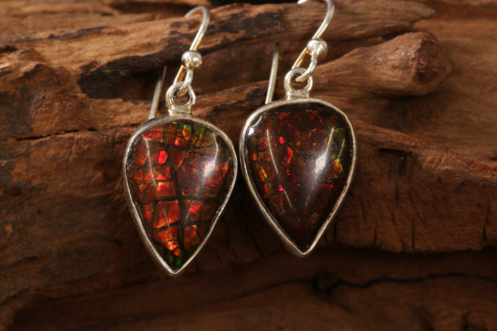 Ammolite Earrings DS1914