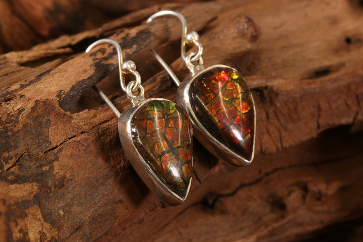 Ammolite Earrings DS1914