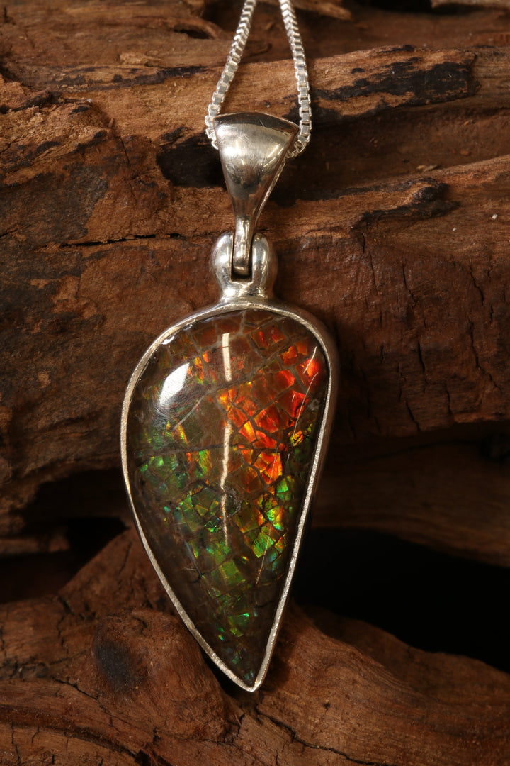 Ammolite Pendant DS1926
