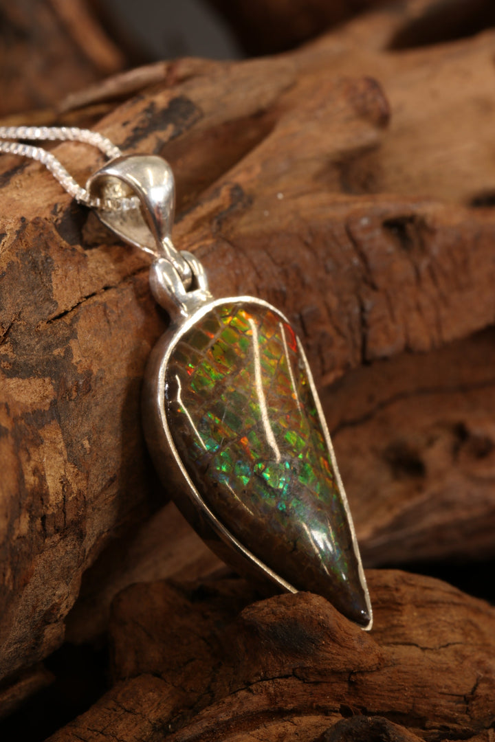 Ammolite Pendant DS1926