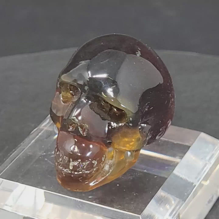 1.5" Dominican Amber Skull TU3673