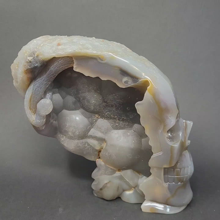Agate Skull with Snake TU3790