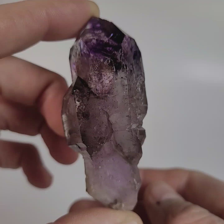 3" Shangaan Amethyst Scepter with 2 Enhydros TU2910