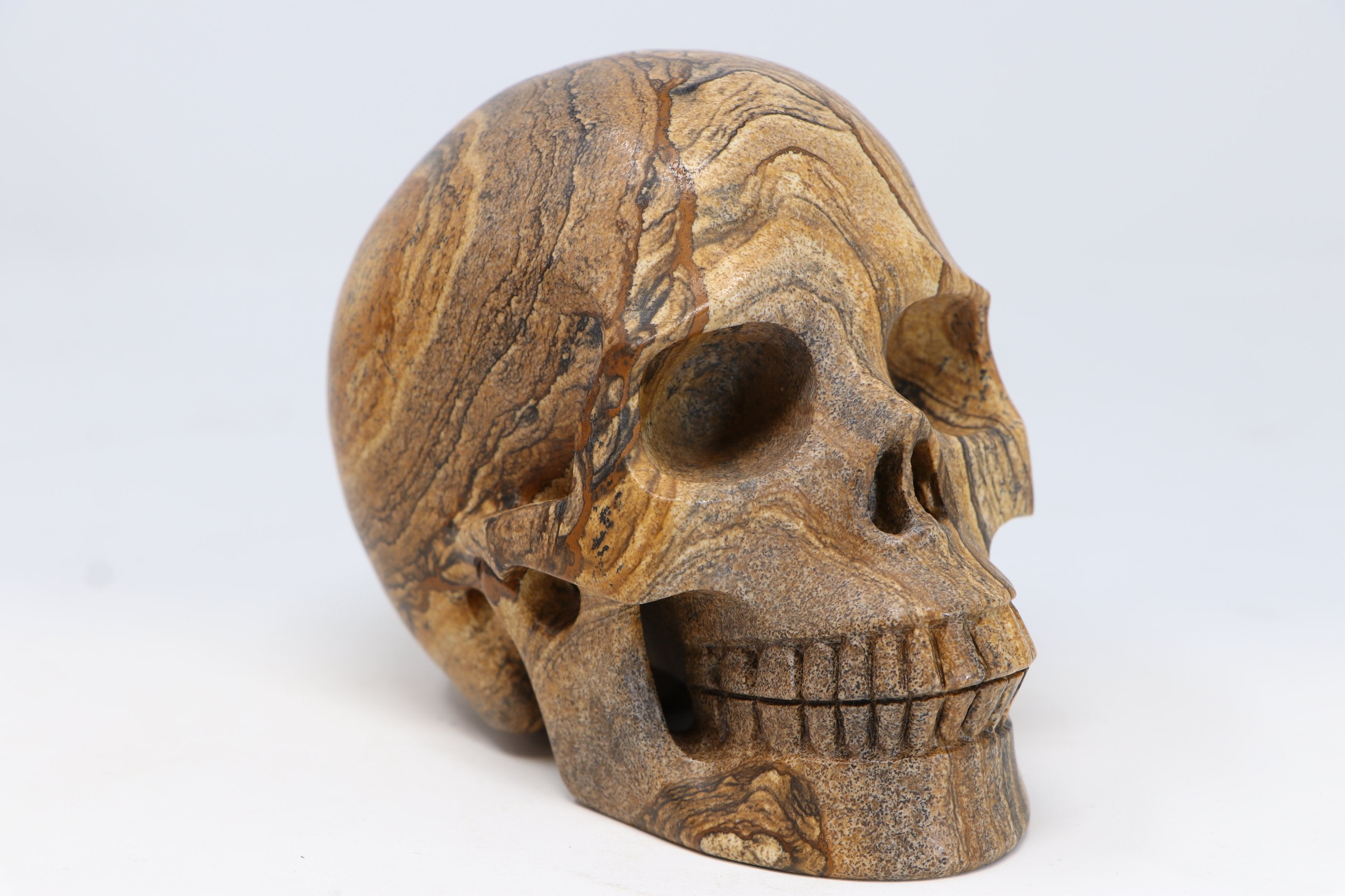 Large Skulls – Little Lemuria