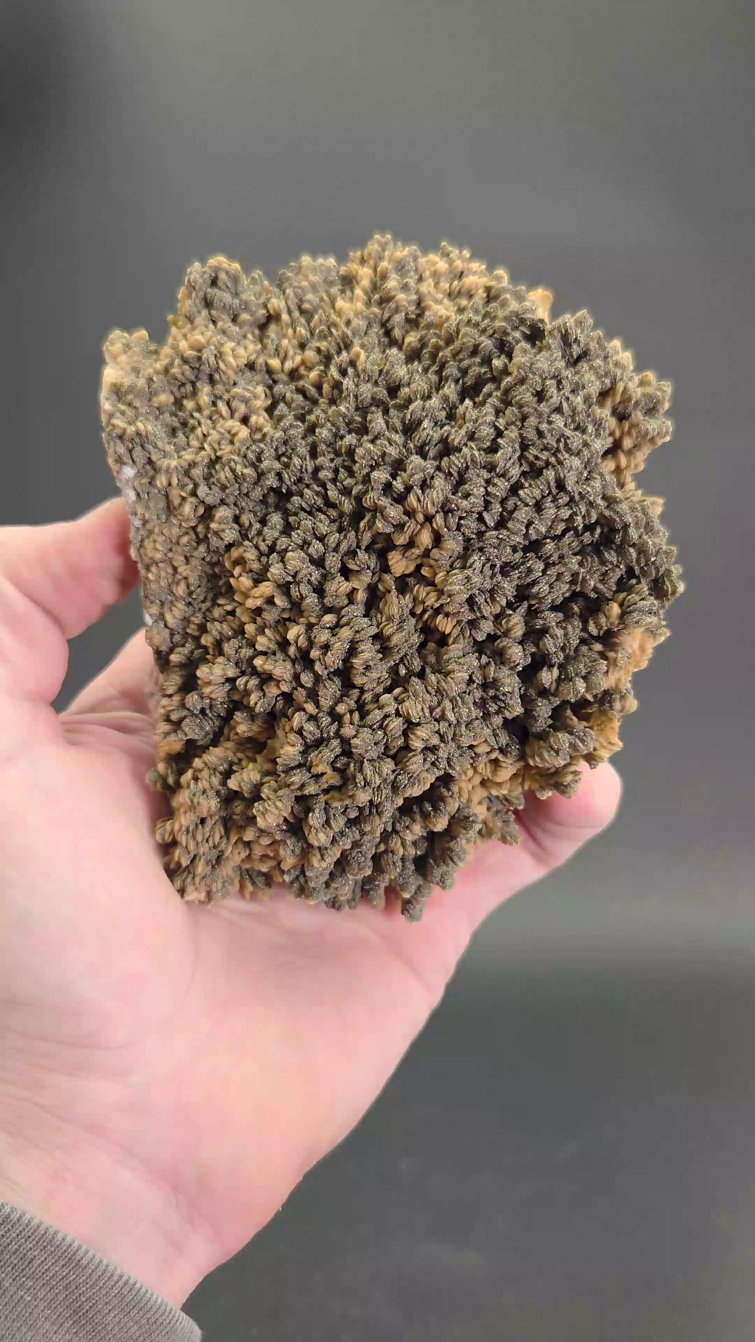 Barite with Pyrite Specimen from Poland AB2200