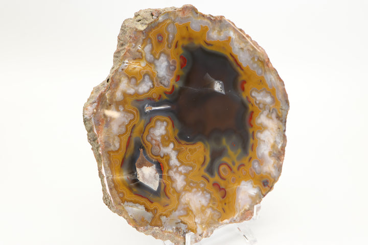 Borden Formation Kentucky Agate - Estill County, Kentucky DS1699