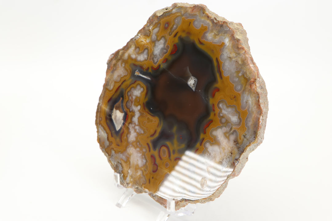 Borden Formation Kentucky Agate - Estill County, Kentucky DS1699