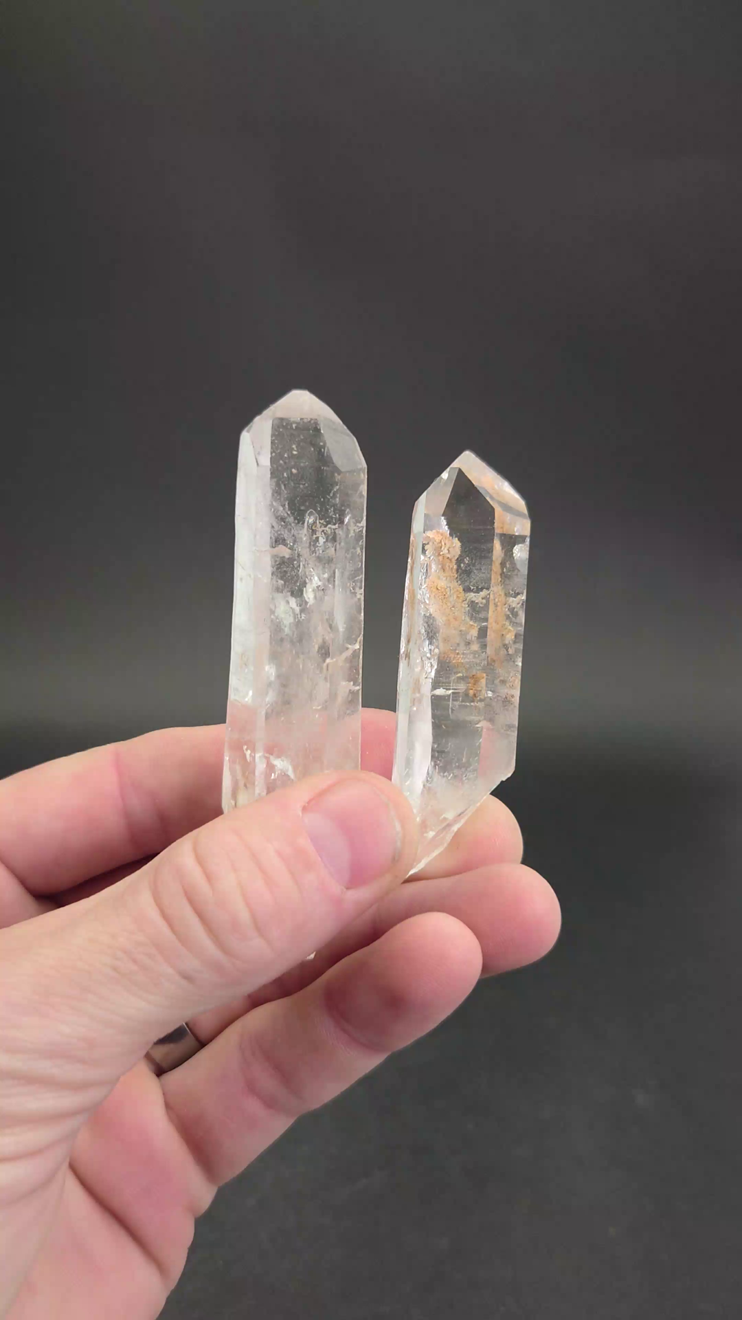 Pair of Diamantina Lemurians DD019