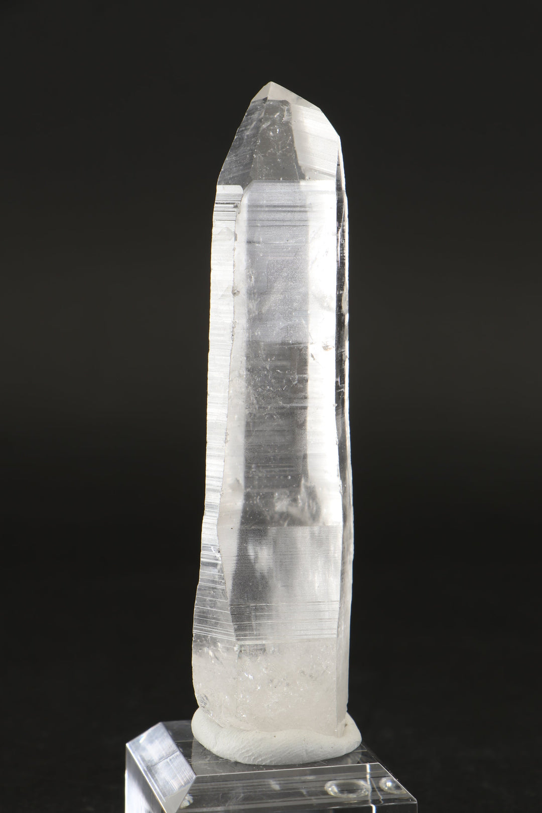 4.75" Lemurian Seed Crystal DD323