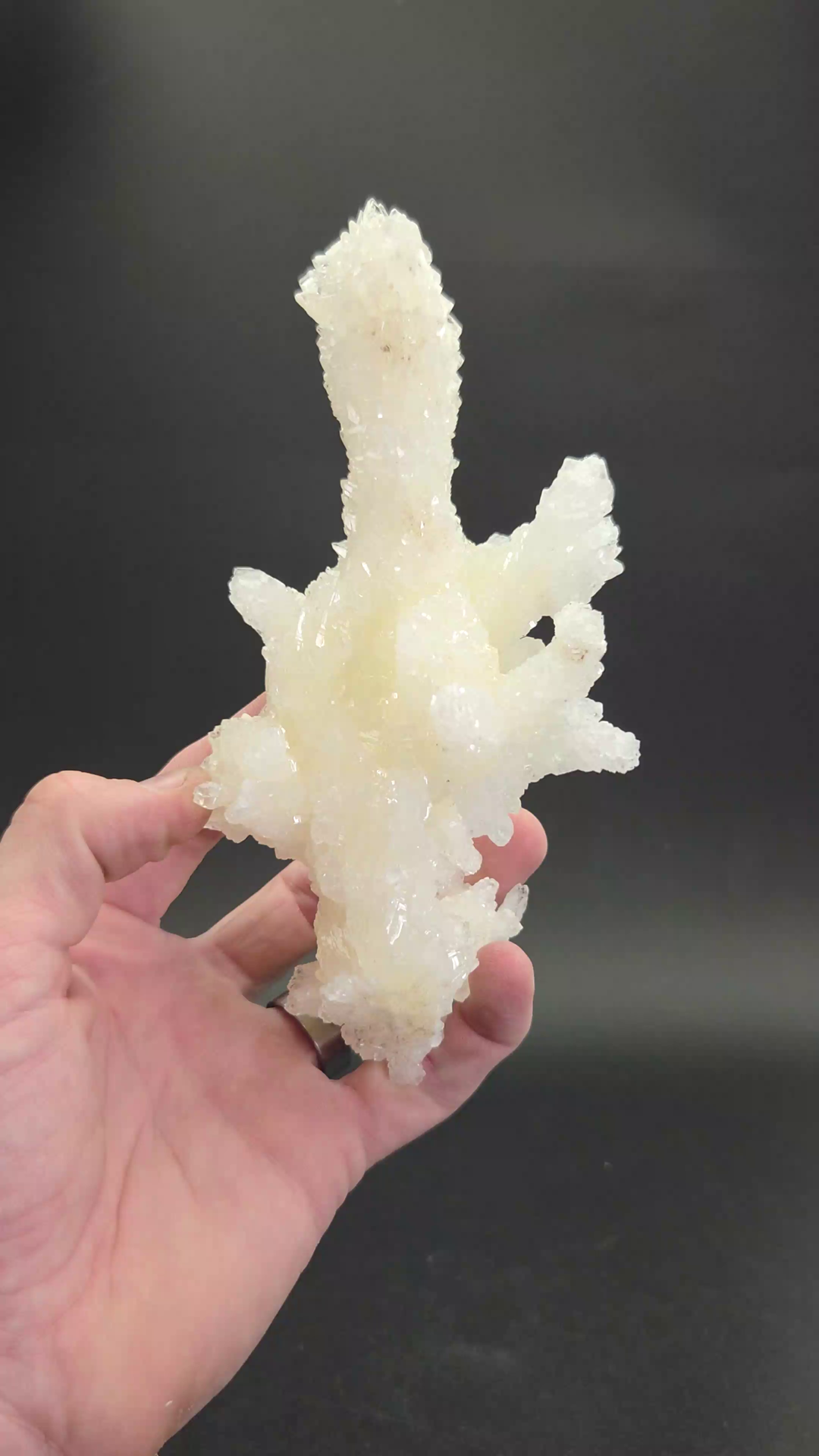 Mexican Cave Calcite (Aragonite) Specimen DM315