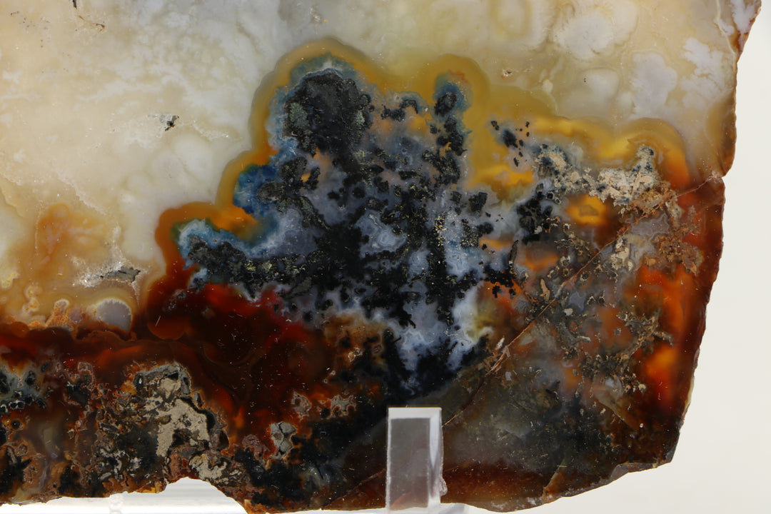 Trent Agate Slab DS1093