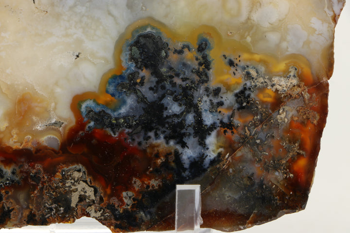 Trent Agate Slab DS1093