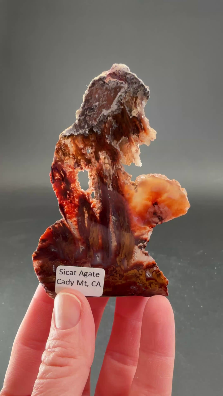 Sicat Agate Slab DS1094